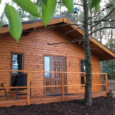 Butterfly Cabin Limerick Junction Екстериор снимка