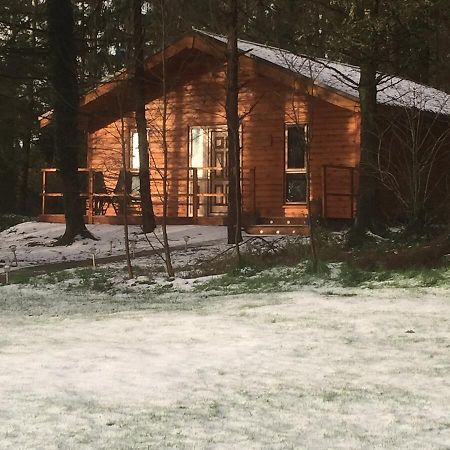 Butterfly Cabin Limerick Junction Екстериор снимка