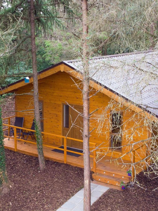 Butterfly Cabin Limerick Junction Екстериор снимка