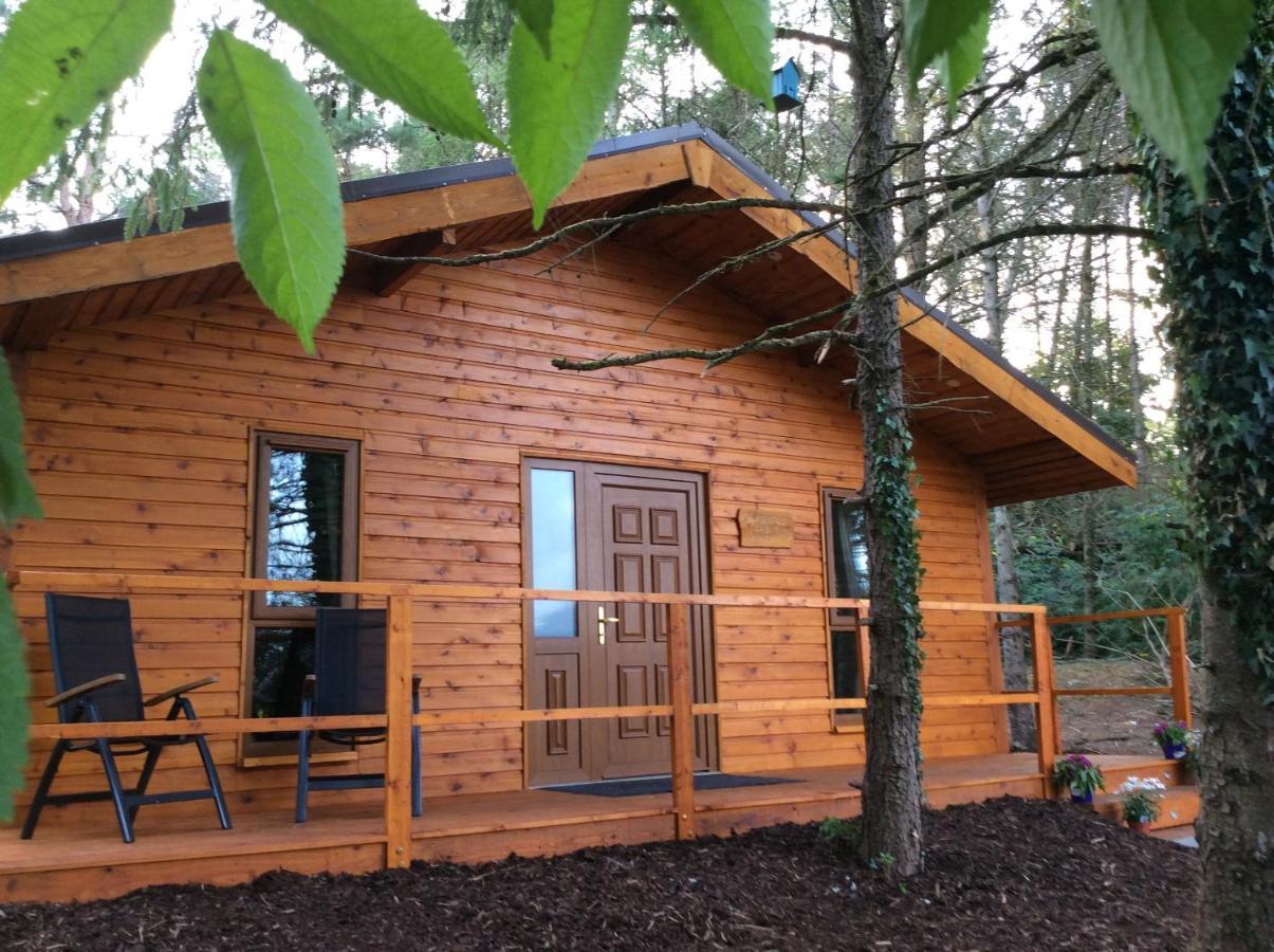 Butterfly Cabin Limerick Junction Екстериор снимка