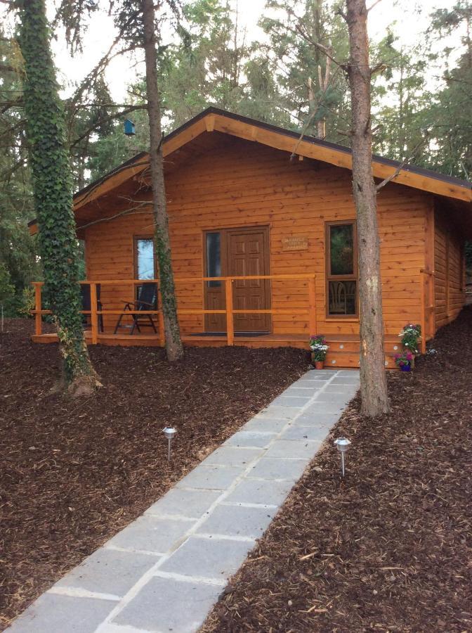 Butterfly Cabin Limerick Junction Екстериор снимка