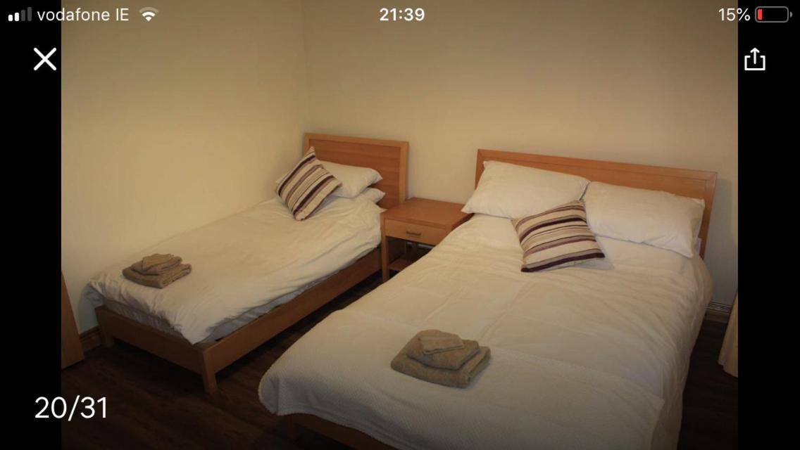 Butterfly Cabin Limerick Junction Екстериор снимка