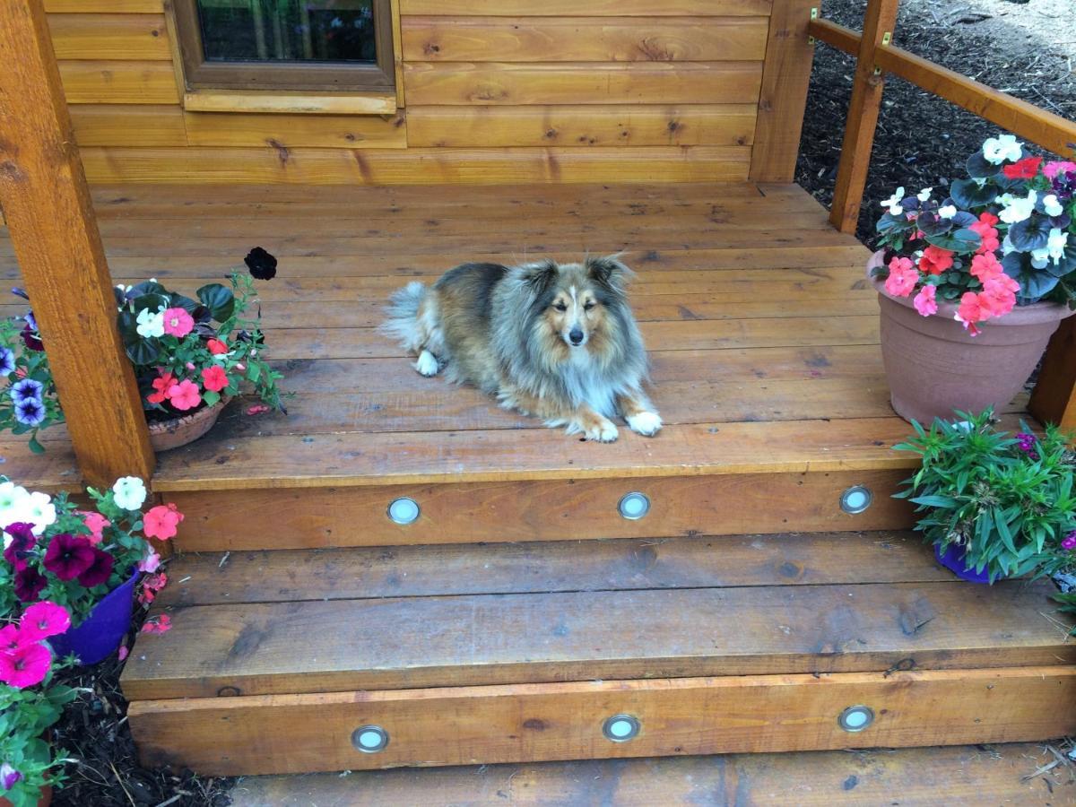 Butterfly Cabin Limerick Junction Екстериор снимка