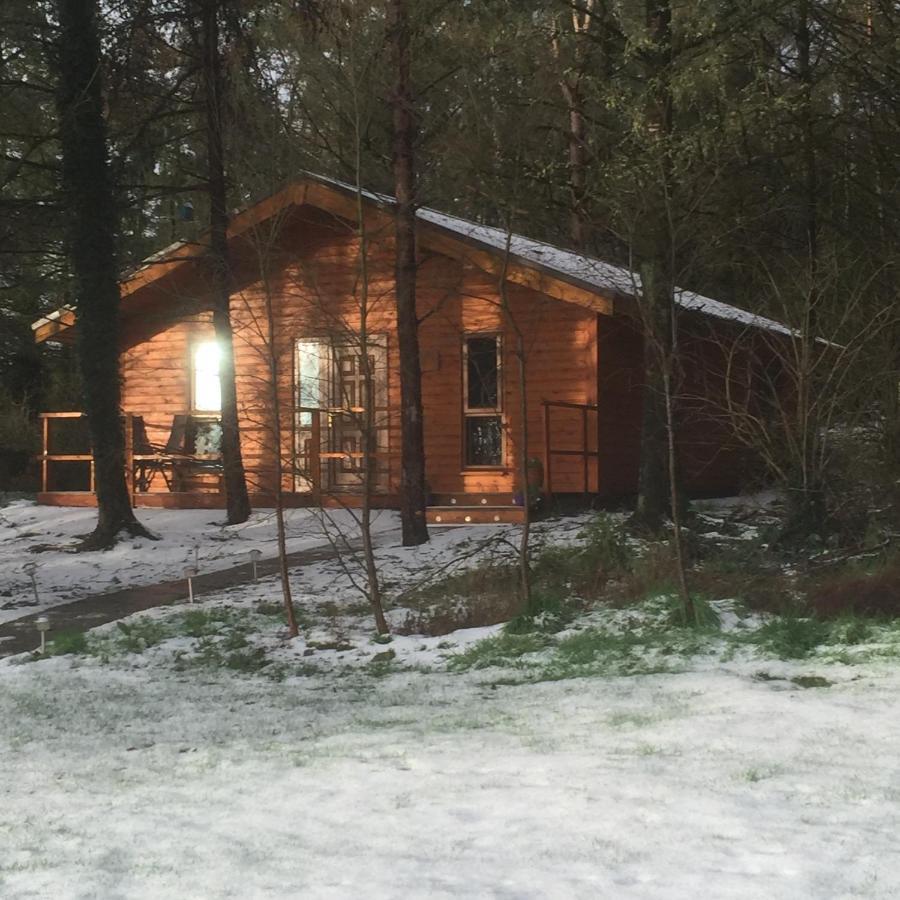 Butterfly Cabin Limerick Junction Екстериор снимка
